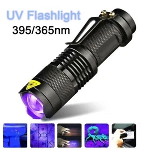 Torcia UV 395nm led portatile wood rileva macchie banconote zoom fluidi batteria - Imagen 1 de 4