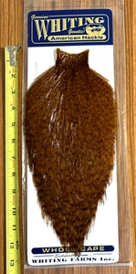 Whiting American Rooster Cape, grizzly gefärbt braun, Fliegenbinden - Bild 1 von 2