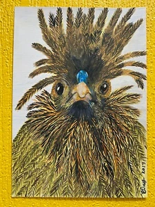 POLISH CHICKEN BAD HAIR DAY HEN  A4 One-Off Original Crayon Art Drawing Signed - Picture 1 of 5