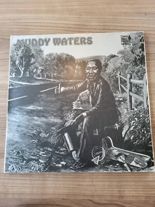 LP - Vinyl - Muddy Waters - Chess Blues Masters Series - Picture 1 of 2