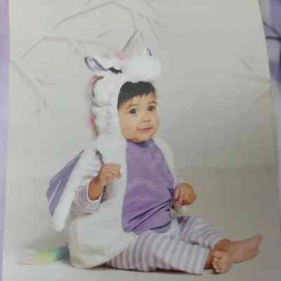 Unicorn Costume Infant 0 3 6 Months Plush Wings Hooded Pullover Leggings Top - Image 1 of 4