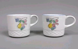 Vina Fera Coffee Mug Tea Durasafe Fruit Radiance Cup Replacement Set of 2 - Picture 1 of 6