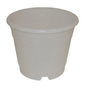 Vaso per orchidee trasparente lattiginoso - Foto 1 di 1