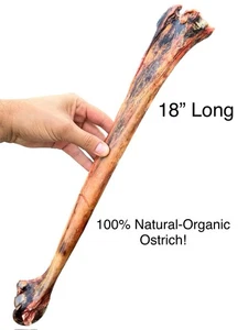 Golosina masticable de lujo grande de hueso de avestruz para perro 18" natural orgánica seca al aire - Imagen 1 de 4
