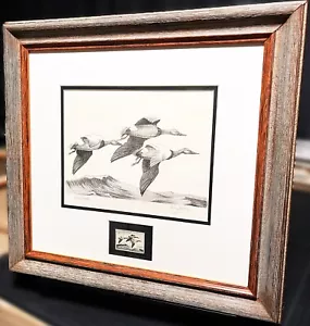 Ron Jenkins 1965 Federal Waterfowl Duck Stamp Print With Stamp - Brand New Frame - Bild 1 von 7