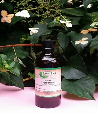 Organic Ginger Root Tincture (100ml) 1:2 Ratio. High Strength Herbal Extract.