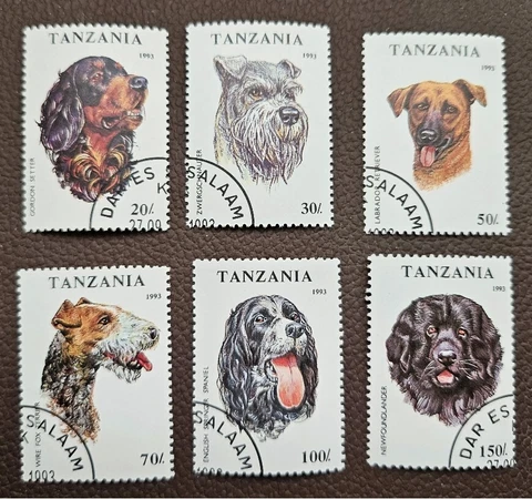 TANZANIA - DOG STAMPS - USED Cover