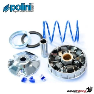 Hochgeschwindigkeitsvariator Polini f?r wassergek?hlten Piaggio Quartz 50 2T - Bild 1 von 5