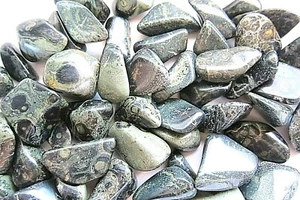 One Crocodile Jasper Tumbled Stone XL 30-40mm Healing Crystal Shaman Protection - Picture 1 of 5