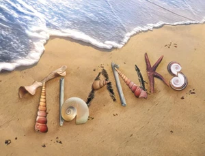 LEANIN TREE Sandy Beach Scene with Shells-"Thanks"~#35755 Pack of 8 Notecards - Picture 1 of 2