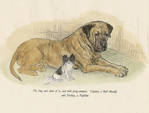 SCHMETTERLING & BULLMASTIFF CHARMANTE HUNDE GRÜSSE NOTIZKARTE ZWEI SCHÖNE HUNDE - Bild 1 von 1