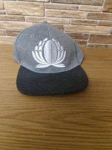 Cappello Canterbury Waratahs - berretto Flat Peak - nuovo con etichette Rugby Union taglia unica ~ nuovo - Foto 1 di 9