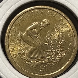 2009 p sacagawea dollar - Picture 1 of 7