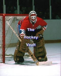 Montreal CANADIENS Ken DRYDEN #29 Face OFF @ STL Arena CUSTOM 8X10 6 Cups HOFer - Picture 1 of 1