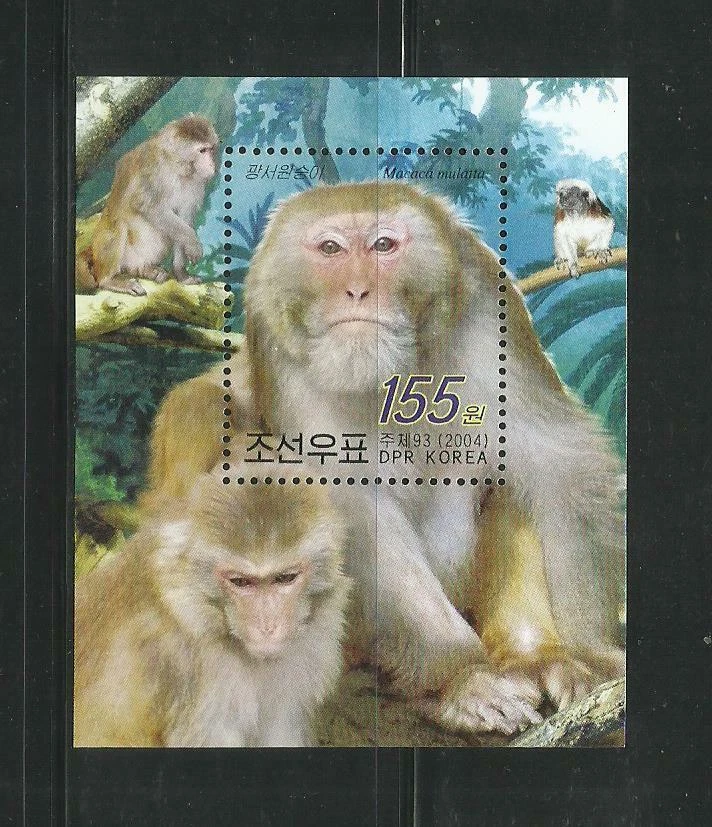COREA. Año: 2004. Tema: FAUNA. MONOS. - Imagen 1 de 1