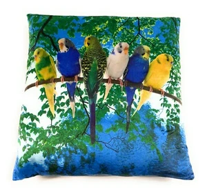 Wellensittische Sittiche Plüsch Sofa Bett Deko oder Kuschel Kissen 35x35 cm - Picture 1 of 2