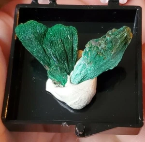 2 Pieces of VELVET MALACHITE Fibrous Mineral Rock Specimen US SELLER Beautiful - Picture 1 of 7