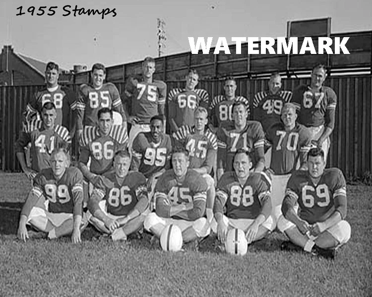 Foto del equipo CFL Calgary Stampeders 1955 en blanco y negro foto 8 X 10 Foto 1 de 1