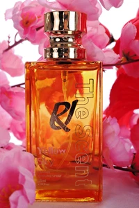 Spray perfume Yellow Sky Apparel 100 ml (3,38 fl oz) para hombres y mujeres - Imagen 1 de 4