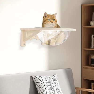 Wall-mounted Cat Clear Space Capsule Kitten Holding House Shelves w/ Suction Cup - Image 1 of 4