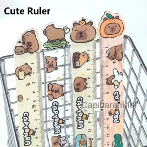 1 Set High Appearance Metric Ruler Capybara Cartoon Stationery Student - Picture 1 of 8