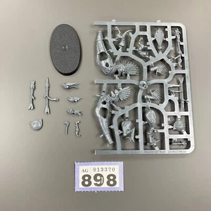 RAPTADON HUNTER CHARGER CHAMPION A SERAPHON LIZARDMEN WARHAMMER AOS ORDER - Picture 1 of 1
