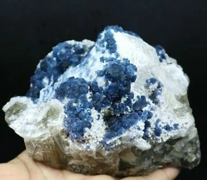 Museum Quality - Amazing Blue Fluorite on white Quartz Crystal mineral specimen - Picture 1 of 9