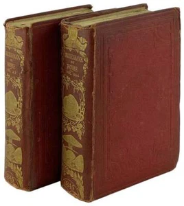 Cruikshank at Home: A New Family Album of Endless Entertainment; 1st 1845 2 vols - Picture 1 of 2