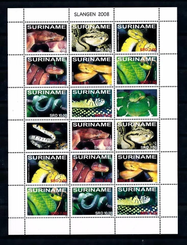 [SUV1551] Surinam 2008 Reptiles Snakes Miniature sheet with tabs MNH Cover