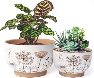 8 Inch + 6 Inch White&Terracotta Flower Pots, Succulent Ceramic Plant Pots with - Picture 1 of 6