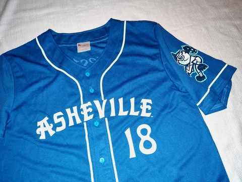 NEW Asheville Tourists Retro 2018 SGA Stadium Giveaway Baseball Jersey Large L Cover