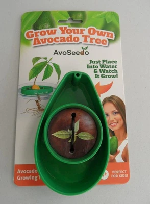 AVOSEEDO Cultiva Tu Propia Herramienta de Cultivo de Árbol de Aguacate Fácil Planta Reloj Crecer Funciona NUEVO Foto 1 de 2
