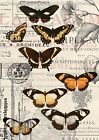 Vintage Schmetterlinge Premium Decoupage Stoffpapier - Dixie Belle - 20 Zoll x 30