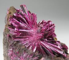Fine ERYTHRITE crystals * Bou Azzer Mine, Morocco