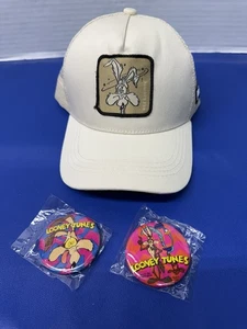 Looney Tunes Wile e Coyote Hat And Pin Lot Of 2 - Picture 1 of 8