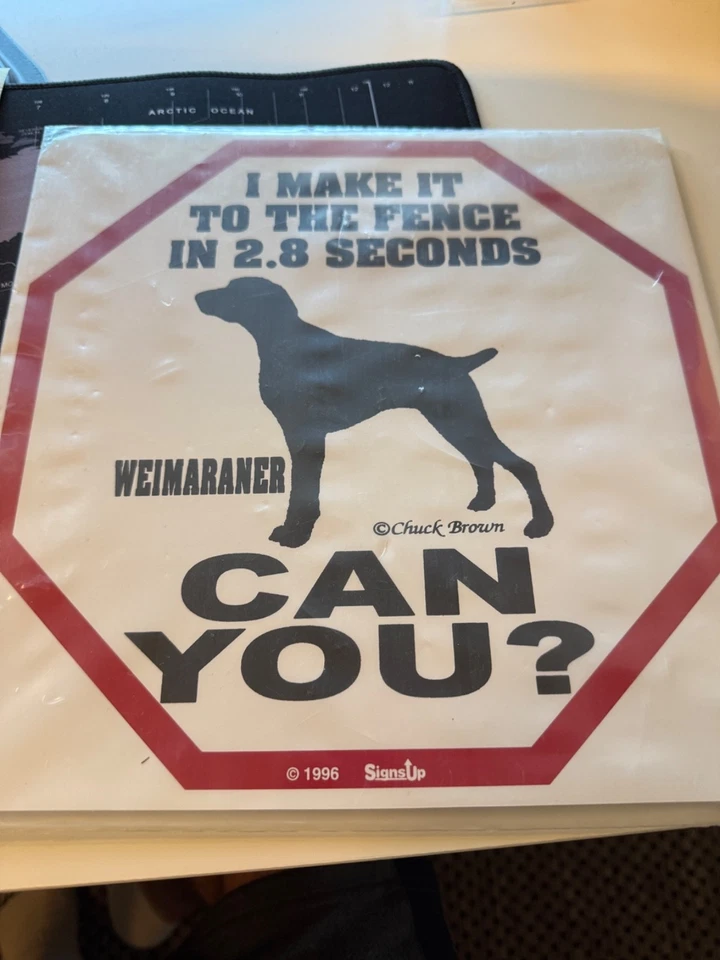 Weimaraner I Can Make It To The Fence In 2.8 Seconds - Image 1 of 1