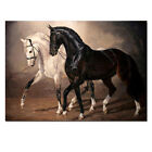 Black and White Horses Poster Canvas Print Painting Wall Picture Mural