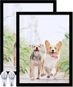 12X16 Picture Frame Poster Set of 2, High Transparent Basic Modern Picture Frame - Picture 1 of 11
