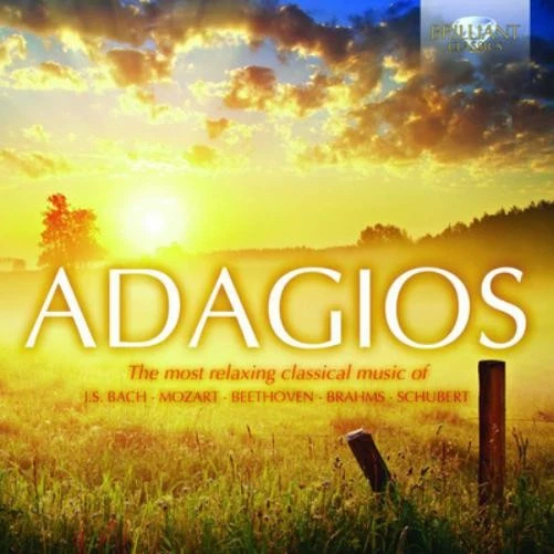 Antonin Dvorák Adagios: The Most Relaxing Classical Music of J.S. Bach/Moza (CD) - Bild 1 von 1