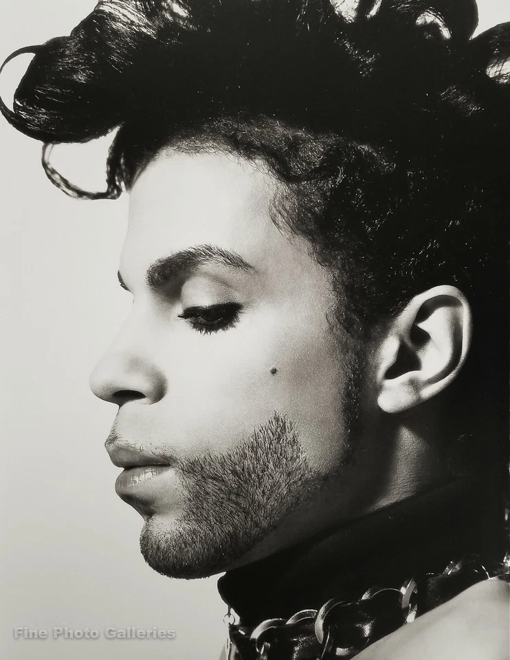 1991 年复古王子表演艺术家 Herb Ritts 音乐舞蹈照片艺术 16x20 — 第 1/1 张图片