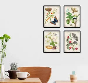 Wandbilder Wohndeko Vintage Schmetterling Motte Raupe Blumen 4er Set Drucke - Bild 1 von 5