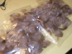 Holz Ente Flankenfedern letzte Jahre Vögel 7" mal 6" versiegelte Pakete - Bild 1 von 3