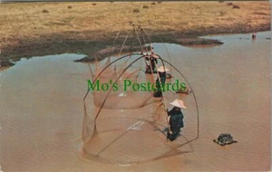 Occupations Postcard - Thailand, The Thai Fishing RS28460 - Picture 1 of 2
