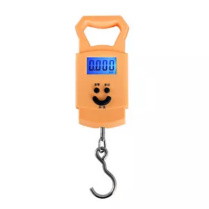 Fishing Digital Scale Digital Lcd Display Digital Mini Handheld Fishing Electric - Picture 1 of 9