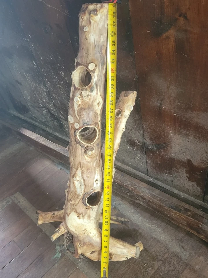 Fish And Reptile Hide - Image 1 of 1