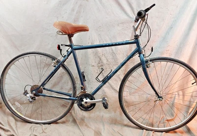 Bicicleta híbrida Giant Farrago City 1999 19" grande acero 21 velocidades turismo café rígido ~ Foto 1 de 4