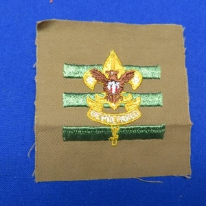 Pfadfinder Vintage Jr. Assistent Scoutmaster Patch Fine Sand Twill 2511C1 - Bild 1 von 3
