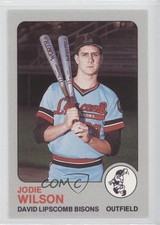 1987 David Lipscomb University Bisons Team Issue Jodie Wilson #29