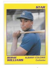 BERNIE WILLIAMS 1990 Star RC Albany-Colonie YANKEES New York Rookie Card Qty.