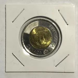 2019 Polar Bear Canada $2 Dollars Toonie - Circulated - Bild 1 von 3